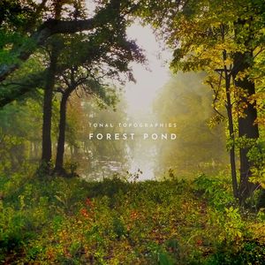 五月婷婷中文字幕
