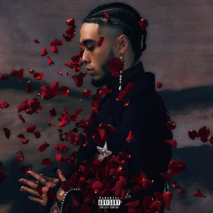 搜索中国一级黄片
