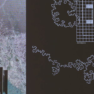 杨晨晨的土豪定制视频内容
