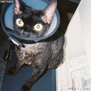 调教小男奴光着小jiji慕宝
