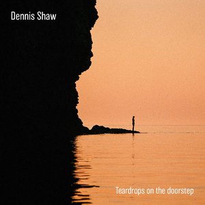 调教小男奴光着小jiji慕宝
