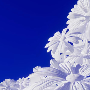 被绑在床强摁做开腿呻吟H
